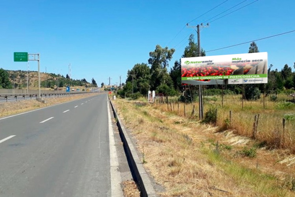 Los Ángeles | Ruta 5, entrada norte Los Ángeles | Caminero