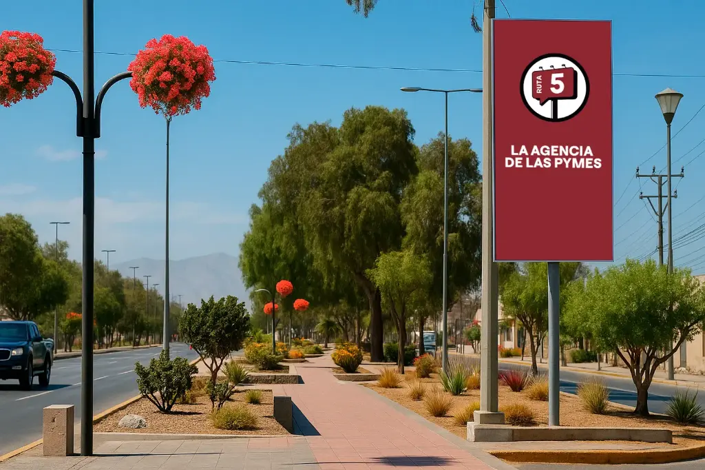 Copiapó | Los Carrera frente a Casino | Topsite (OFERTA)