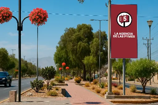 Copiapó | Los Carrera frente a Casino | Topsite (OFERTA)